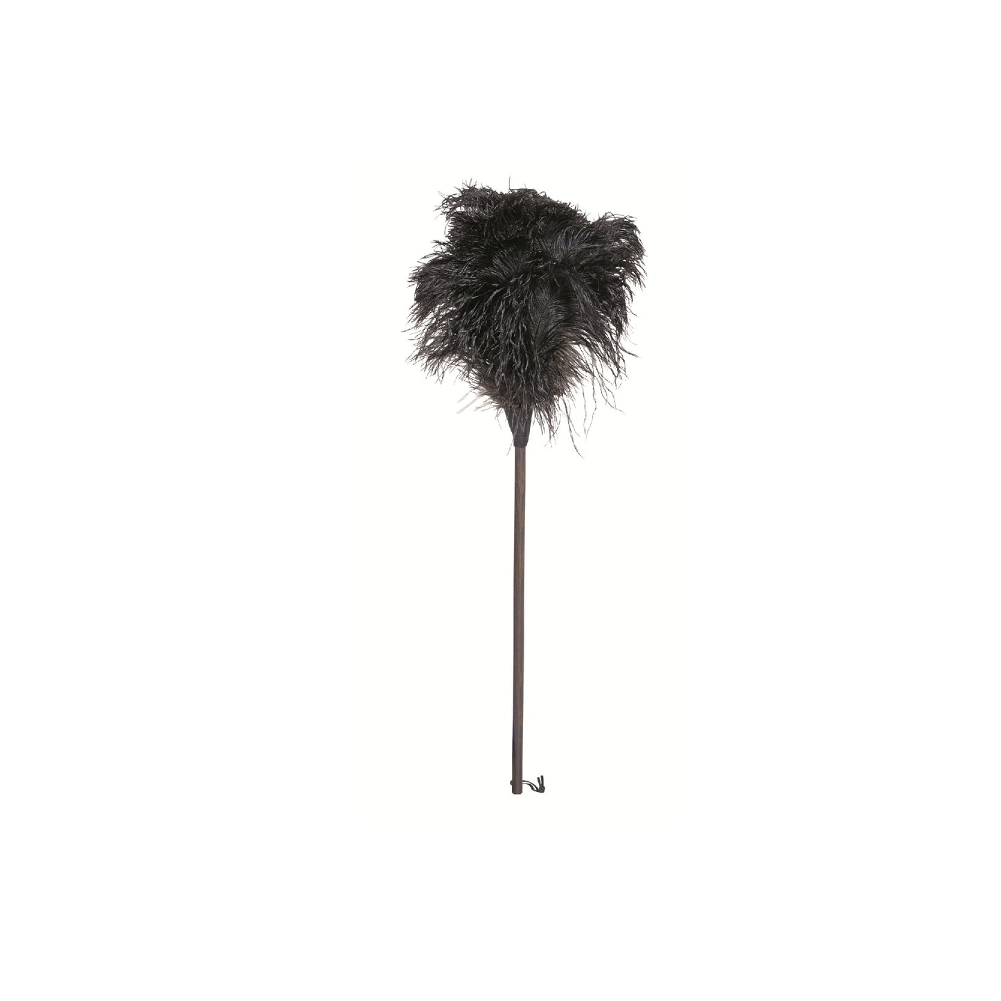 Ostrich Feather Duster with Thermowood Handle - 80cm