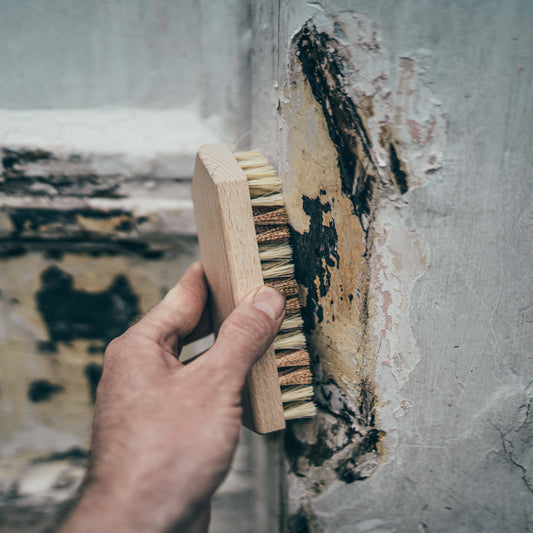 Stripping Brush